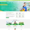 Thiết kế web dịch vụ giúp việc nhà