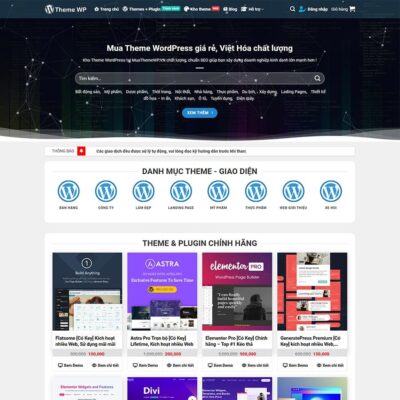 Thiết kế web web mua bán theme, plugin 02